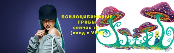 прущий лед Арсеньев