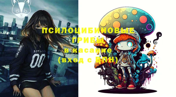 стафф Аркадак
