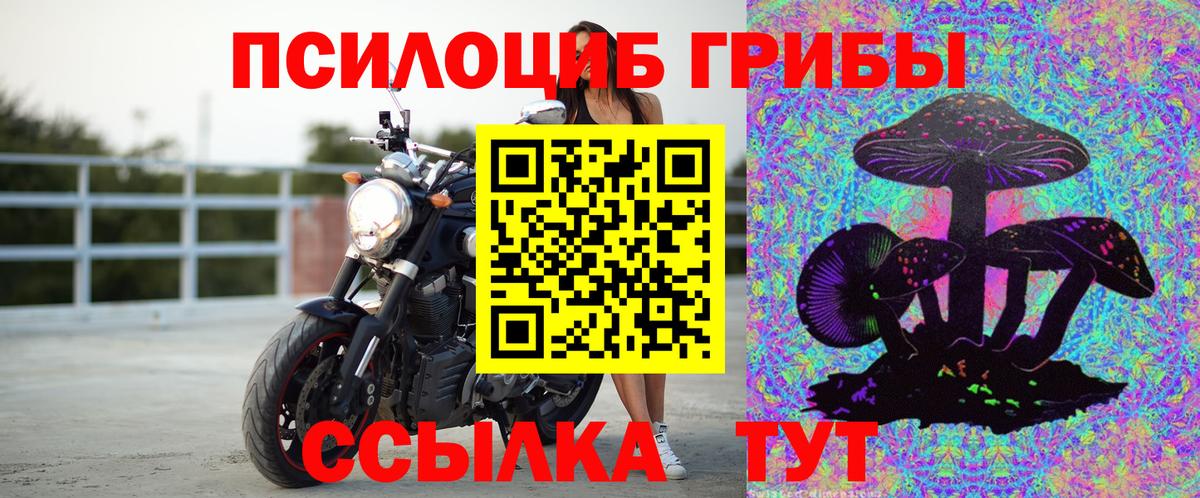 Псилоцибиновые грибы Cubensis Дзержинск