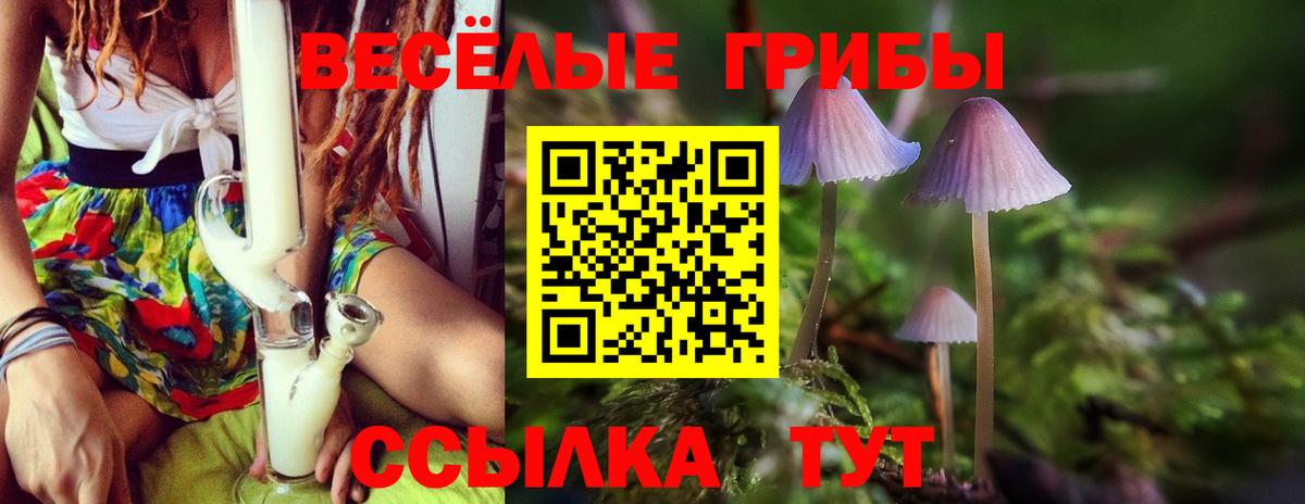 Дзержинск  Экстази  Сколько стоит  Кокаин  MDMA  A PVP СОЛЬ   Каннабис  Вход с VPN  Мефедрон кристаллы  ГАШ  ГАШ 